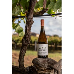 ALBARIÑO QUINTELA DA BARCA