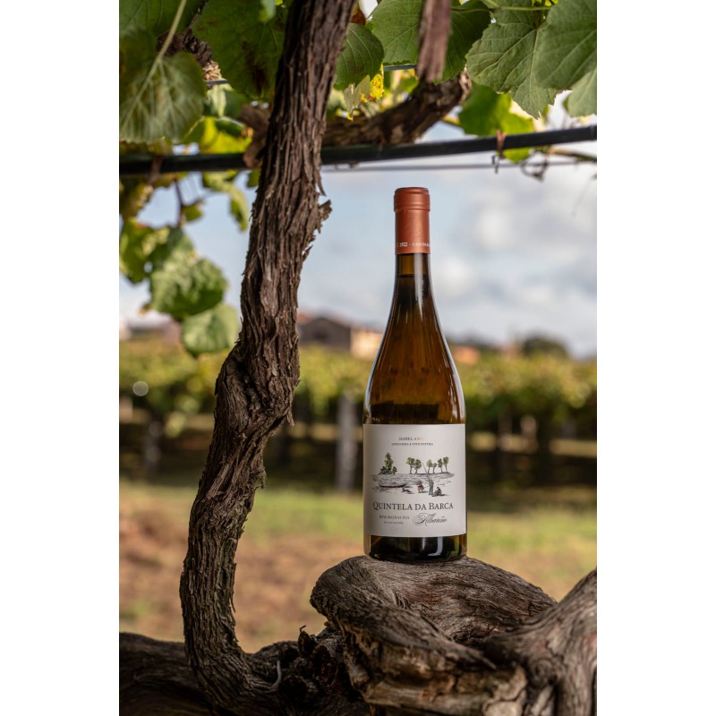 ALBARIÑO QUINTELA DA BARCA