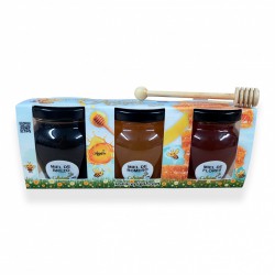 Estuche de miel campo Apigal 3x150g