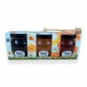 Estuche de miel campo Apigal 3x150g